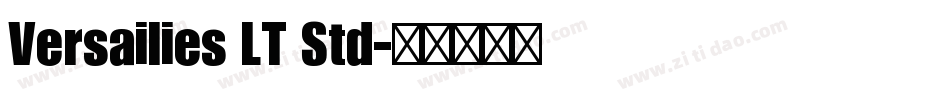 Versailies LT Std字体转换